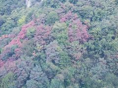 -少华山国家森林公园