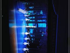 -西安索菲特人民大厦大剧院