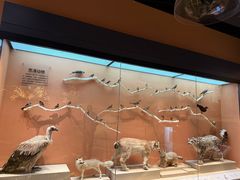 -老绥元烧麦·家常菜(如意店)