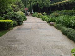 -中国茶叶博物馆(双峰馆区)