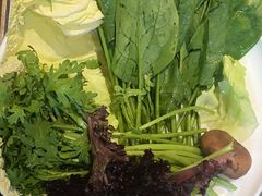 -蝎王府羊蝎子(虎坊桥总店)