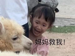 -灵玲国际马戏城