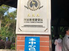 -广东惠东海龟国家级自然保护区