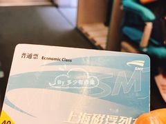 -龙阳路磁悬浮列车总站-停车场