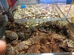 -领鲜活海鲜榴莲自助火锅(东门店)