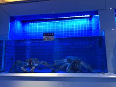 水产区-金苑海鲜酒家(来魅力店)