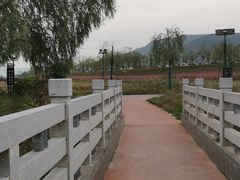 -西安浐灞国家湿地公园