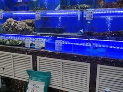 -河马鲜生海鲜超市(风荷园店)