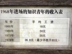 -东平国家森林公园