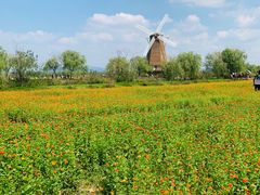 -漩门湾国家湿地公园