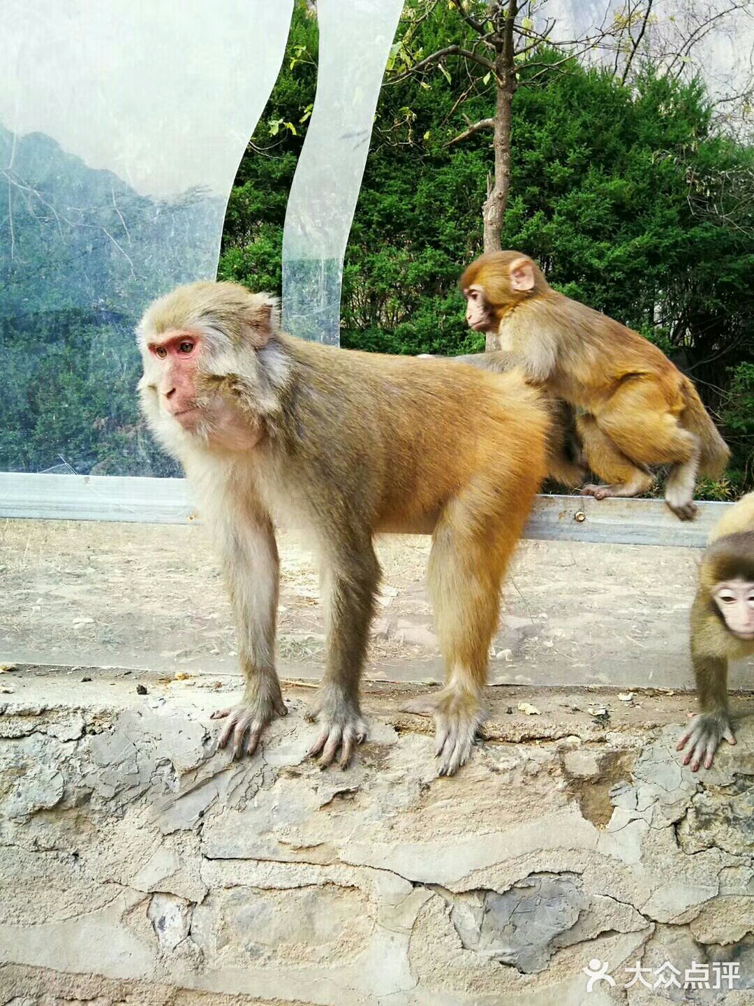 祖国大好河山