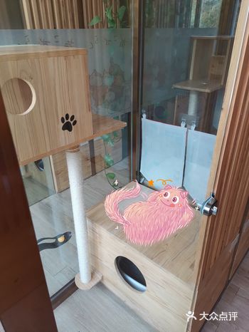 要出门十几天，无奈 傻猫还有浪费粮食的习惯