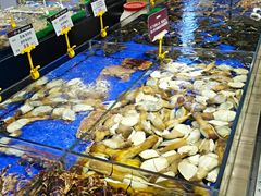 -船歌·鱼水饺青岛菜(闽江二路店)