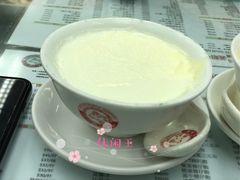 双皮奶-义顺牛奶公司