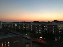 -上海市第六人民医院(临港院区)