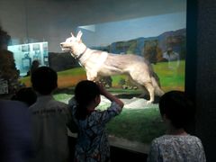 android_upload_pic-上海公安博物馆