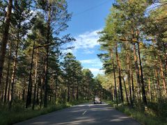 -北极村旅游风景区