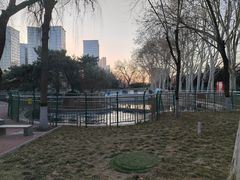 -黄村公园