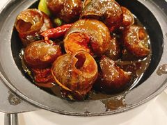 田螺塞肉-瑞福园联谊餐室(茂名南路店)