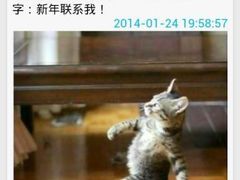 -枣子树素餐厅(铂金城店)