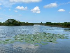 -盐城丹顶鹤湿地生态旅游区