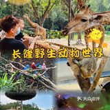广州长隆野生动物世界，假期遛娃好去处，开启Z时代！
