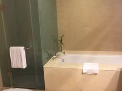 -南桥绿地铂骊酒店