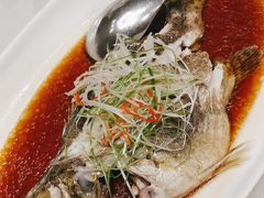 -新吉士·上海菜(浦东LCM置汇旭辉店)