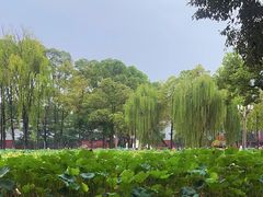 -四川大学(望江校区)