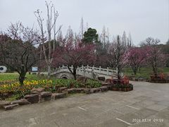 -苏州上方山国家森林公园