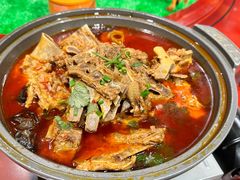 蒙古大营手把肉-蒙古大营(朝阳公园店)