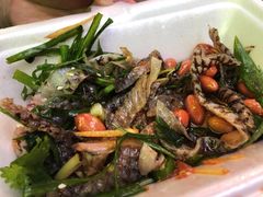 -陈添記·祖傳爽鱼皮·西关老字号(广州首店)