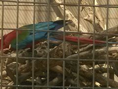 -石家庄市动物园