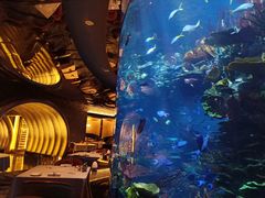 -迪拜帆船酒店海底餐厅