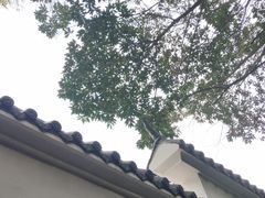 -石燕湖生态旅游景区