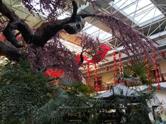 -新世纪绿洲(抚顺店)