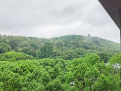 -上海佘山世茂艾美酒店
