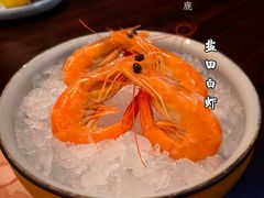 -黑松白鹿(金融街店)