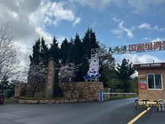 -丹东天桥沟景区