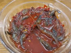 醉虾-毛哥小馆子(百井坊巷店)