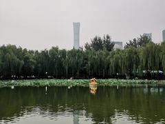 -团结湖公园