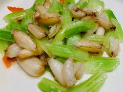 -席家花园(巨鹿花园店)