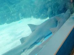 -常州海昌海洋探索馆