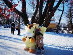-中旅松花湖滑雪场