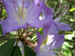 -天燕原始生态旅游区-天门垭景区