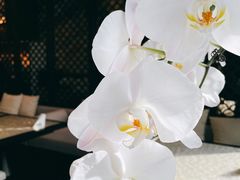 -人间采蜜(海信广场店)