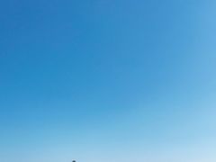 -棒棰岛宾馆景区