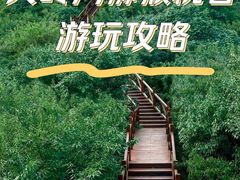 -大岭沟猕猴桃谷风景区