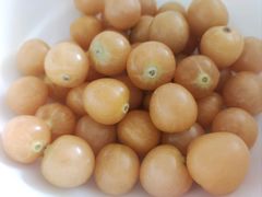 -蒙古人烤羊大师(工农大路创始店)