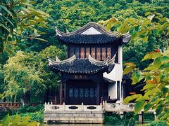 -八大山人梅湖景区